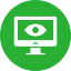 Website Monitoring